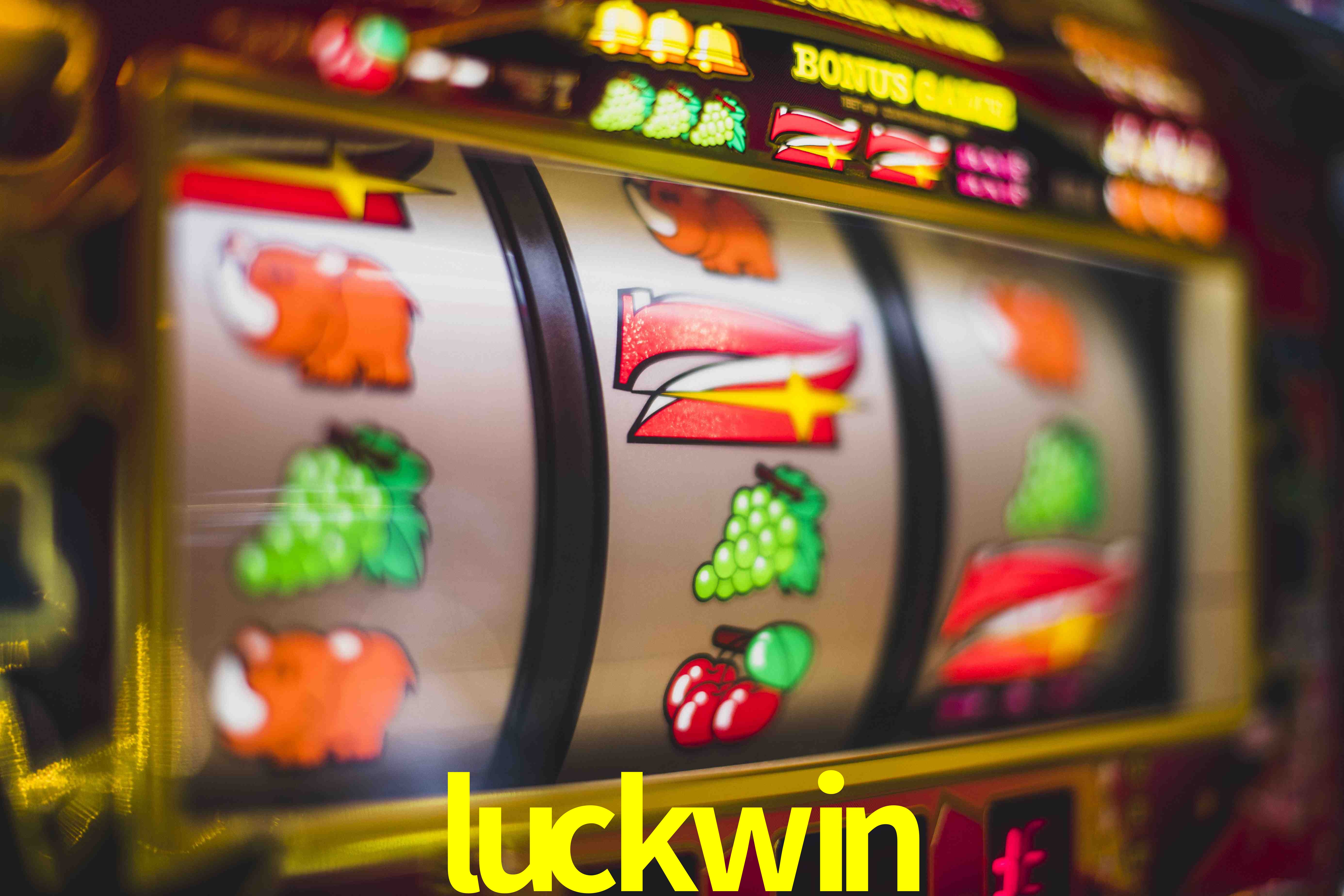 Statistics luckwin